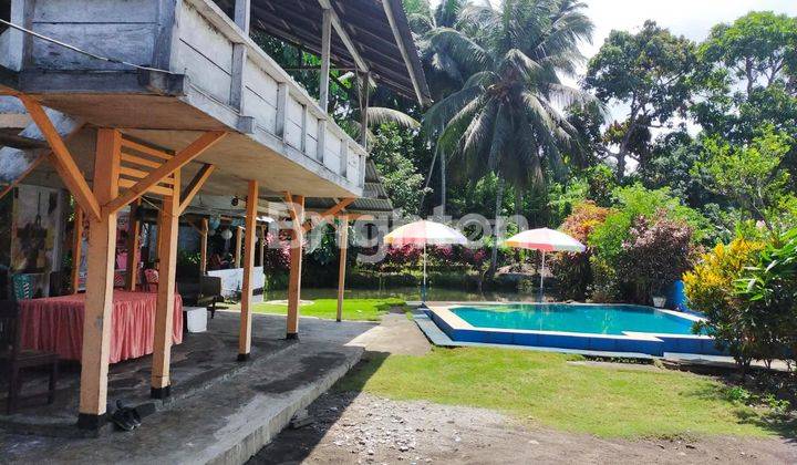 Rumah Tanah Besar di Sagrat dengan Kolam Renang 2