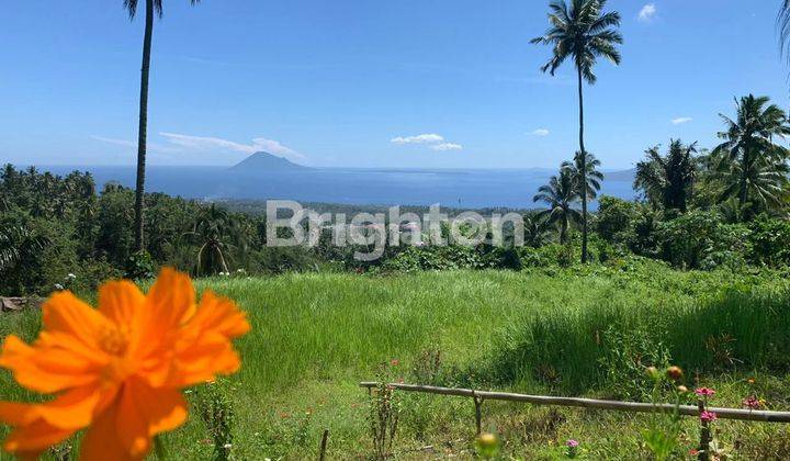 Tanah Besar View Laut, Bisa Jadi Prospek Tempat Wisata, Di Warembungan, Minahasa 1