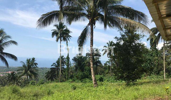 Tanah Besar View Laut, Bisa Jadi Prospek Tempat Wisata, Di Warembungan, Minahasa 2