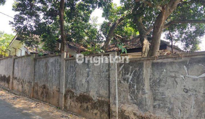 Tanah Hanya 500mtr dr jalan Raya Bogem, Kec Prigen, sudah ada tembok keliling 2