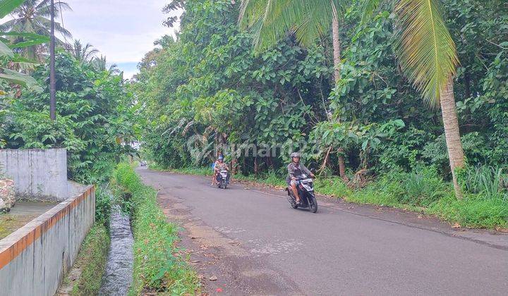 Ruko 2lt Disewakan, Lt 2 Cocok Buat Kantor Expedisi, Bisa Buat Tinggal Supervisor 2