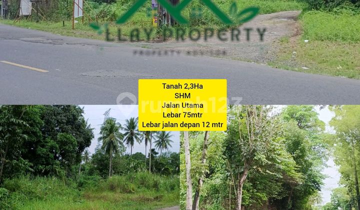 Tanah Strategis, Harga Miring. Lebar 75 Mtr Lt 2,3 Ha Dekat Dedo Watutumou, Dekat Lingkar Kota Manado, Maumbi, Kalawat, ******** Murah Permeternya Hanya 1 Jt, Dijual Dibawah Harga Pasaran, Hanya 500Mtr Dari Ring Road 1.