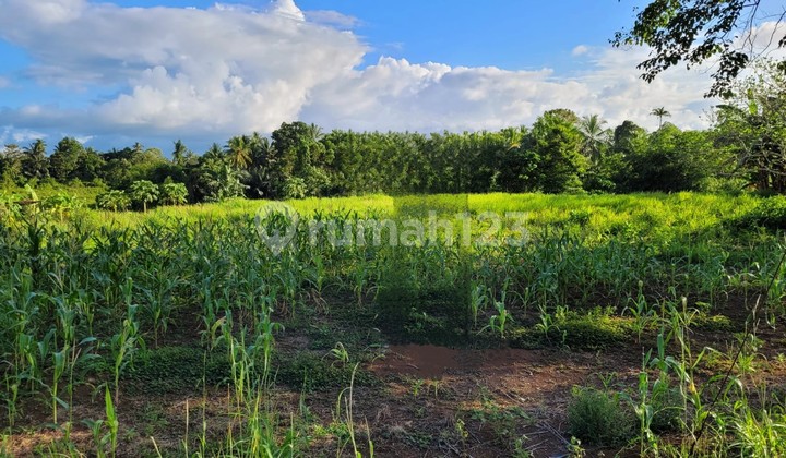 Tanah Besar 4,6ha, Murah Hanya 5 Menit Dari Boulevard 2 Manado 1