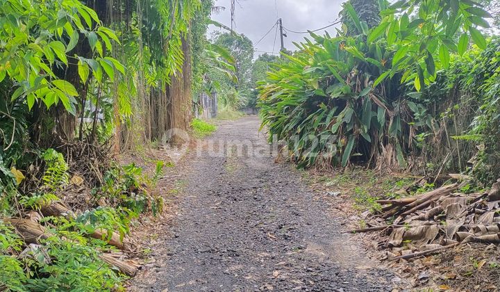 Tanah Kavling Lt 675mtr2 Di Konsilidasi Manado, Cocok Bikin Gudang Dan Rumah ******** Tanah Kavling Lt 675mtr2 Di Konsilidasi Manado, Cocok Bikin Gudang Dan Rumah ********