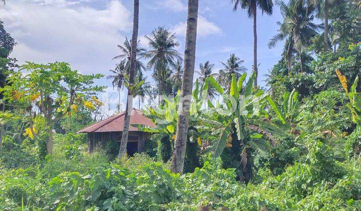 Tanah di jalan raya dekat kampus IAKN Tateli, dekat Lombart park , cocok buat kost2an 2