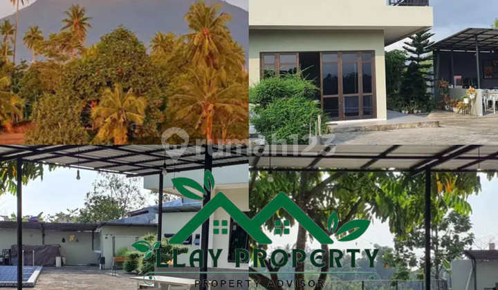 Most Beautiful 3-Story House with Fantastic Manado City View, Swimming Pool Included. Furnished and Sold at an Attractive Price. Most Beautiful 3-Story House with Fantastic Manado City View, Swimming Pool Included. Furnished and Sold at an Attractive Price.