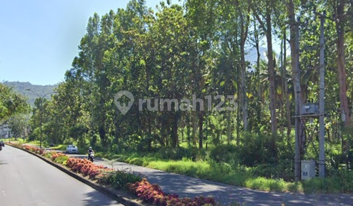 Strategic 20ha Large Land, Suitable For Long-Term Investment, Price Far Below Market, Can Be Used For Hotel, Warehouse, Developer Etc. While The Price Is Still Low, Negotiable.