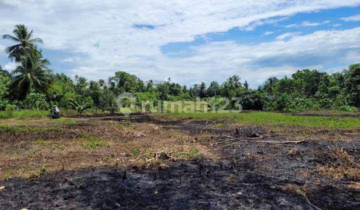 Tanah Besar 4,6ha, Murah Hanya 5 Menit Dari Boulevard 2 Manado 2