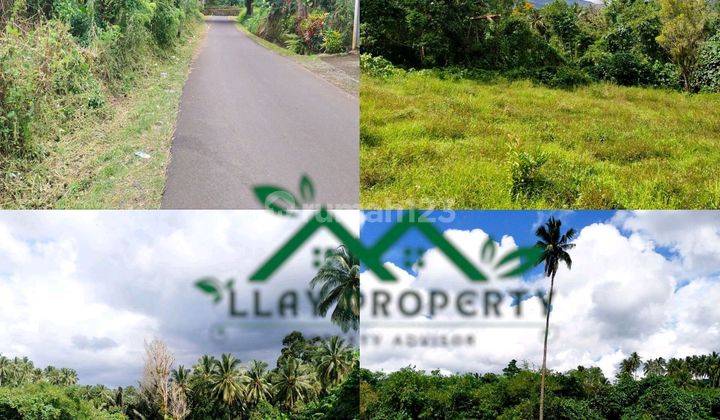 Tanah Rata Di Pemukiman Penduduk Lt 1,1 Ha, Murah Cocok Buat Perumahan, Villa, Dan Lainnya. View Gunung. 1