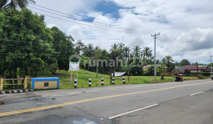 Flat and Large Strategic Land Near Kotamobagu Regional Hospital. Width 100 Meters, Length 150 Meters, Affordable Price, Negotiable, Suitable for Business, Warehouse, and Others.