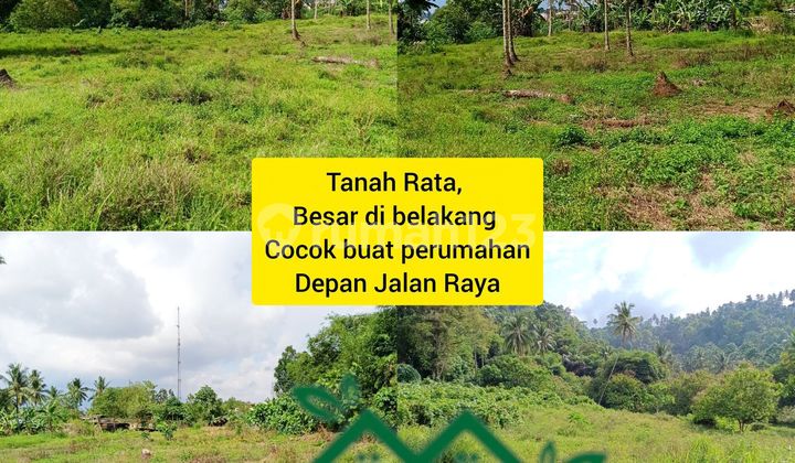 Prime Land on Protocol Road, Strategic, Cheapest Per Meter, on A.a. Maramis Street, 4km from Airport Suitable for Housing etc, Business District, Rapidly Developing Area, Fast Investment. Prime Land on Protocol Road, Strategic, Cheapest Per Meter, on A.a. Maramis Street, 4km from Airport Suitable for Housing etc, Business District, Rapidly Developing Area, Fast Investment.