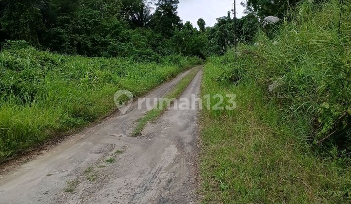 Tanah Strategis, Harga Miring. Lebar 75 Mtr Lt 2,3 Ha Dekat Dedo Watutumou, Dekat Lingkar Kota Manado, Maumbi, Kalawat, ******** Murah Permeternya Hanya 1 Jt, Dijual Dibawah Harga Pasaran, Hanya 500Mtr Dari Ring Road 1.