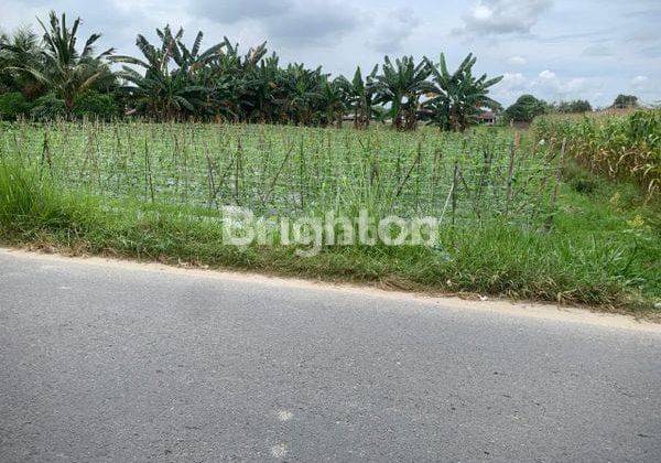 Jual Tanah 5376 Kualanamu 2