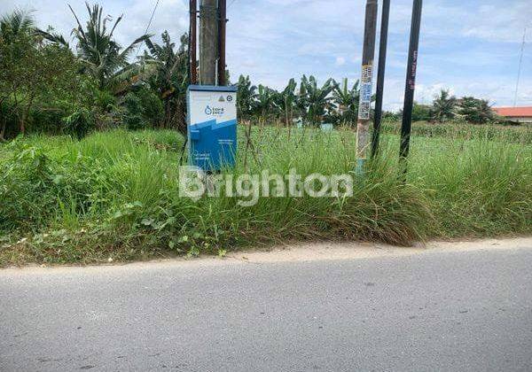 Jual Tanah 5376 Kualanamu 1