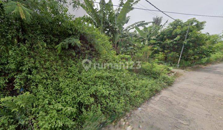 Dijual Murah Tanah Kosong di Daerah Desa Bagu Melalui Lelang 2