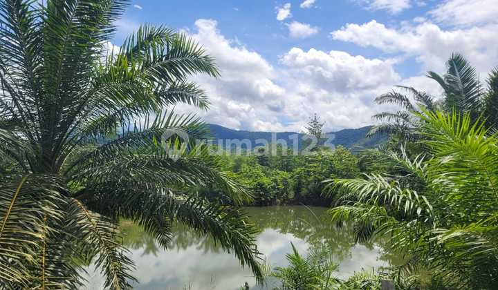 Dijual Tanah di Pinggir Jalan Raya 1