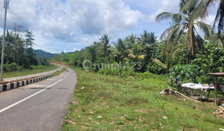Dijual Murah Tanah Kosong di Pinggir Jalan 2