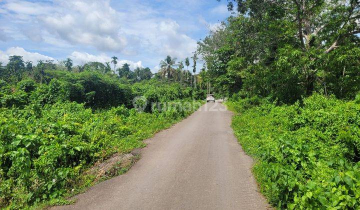 Dijual Tanah Kosong Dengan Harga Murah 2