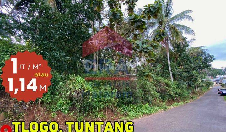Tanah 1138 m2 Tuntang, Semarang SHM 1