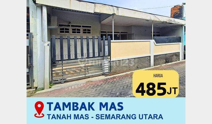 TAMBAK MAS 485 JUTA SHM 1