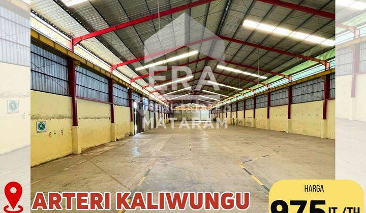 Gudang Bagus 2500 m2 Kaliwungu 1