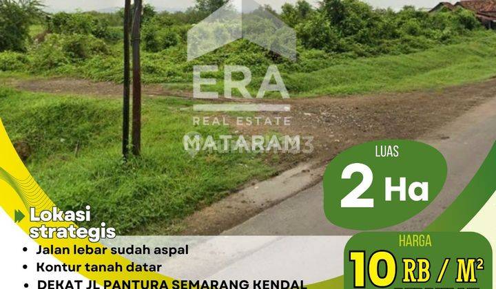 Tanah 10 Ribu Per Bulan di Kendal 1