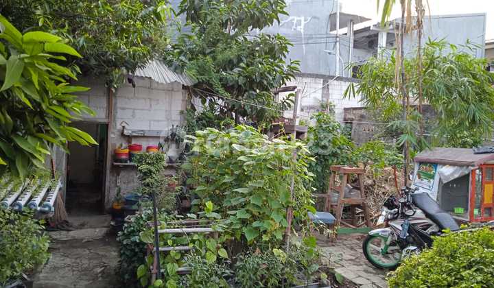 Rumah Tua Hitung Tanah Akses 2 Mobil Strategis Utan Kayu  1