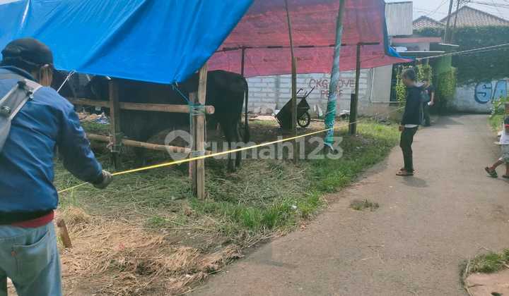 Tanah Murah Akses Mobil Pajero Jagakarsa Tanah Murah Akses Mobil Pajero Jagakarsa