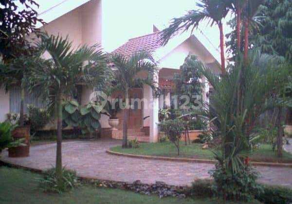 Rumah Asri Luas 720 Strategis Nyaman Sejuk Strategis Jagakarsa Rumah Asri Luas 720 Strategis Nyaman Sejuk Strategis Jagakarsa