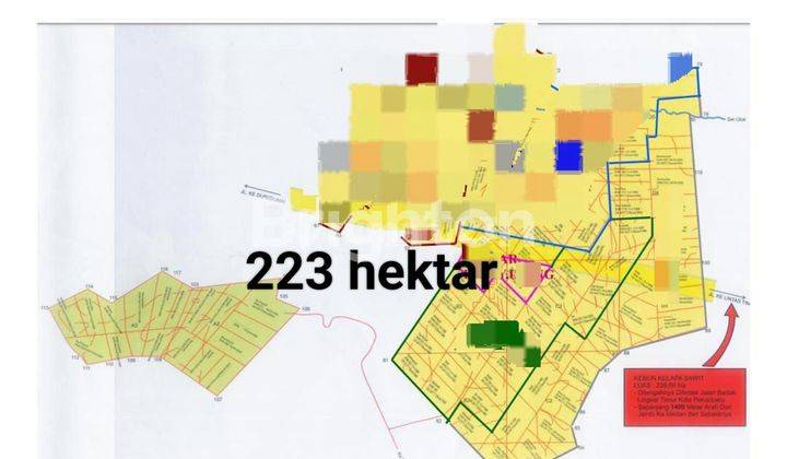 Tanah Lahan Sawit 223 hektar 2