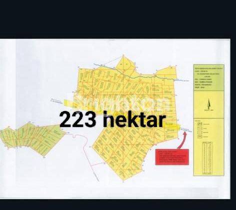 Tanah Lahan Sawit 223 hektar 1