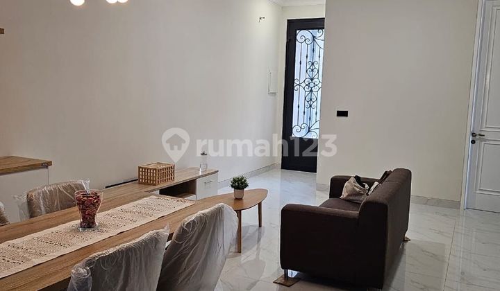 Best Deal Janur Kuning Kelapa Gading! Brand New American Classic 2