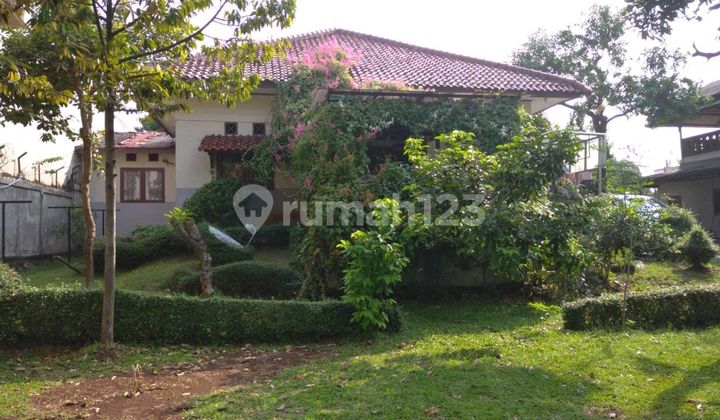 Beautiful House Spacious Yard 2