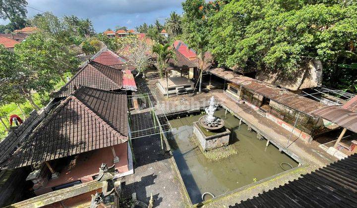 Land bonus Building In Ubud Near Monkey Forest 1