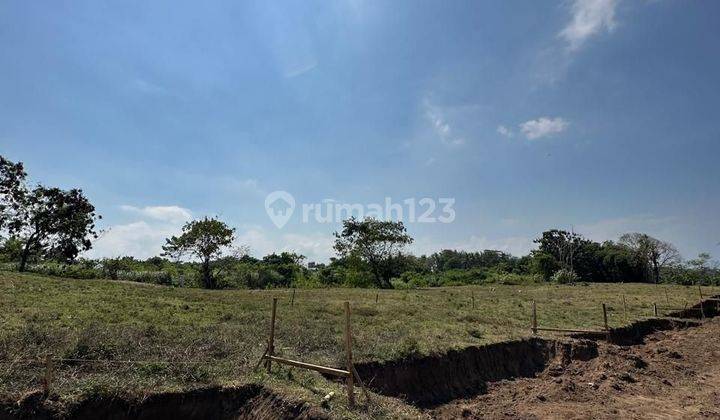 Land For Sale In Saba, Gianyar Near Sukawati Art Market  2