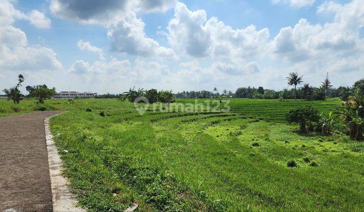 Land Plot View Rice Fields And Sea In Tabanan 2