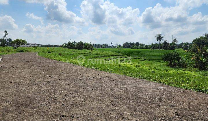 Land Plot View Rice Fields And Sea In Tabanan 1