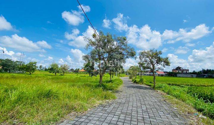 Executive Land Plot Pering Gianyar Bali 2