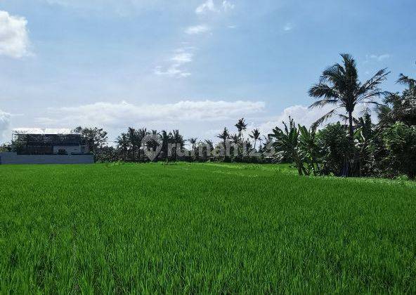 Executive Land Plot Pering Gianyar Bali 1