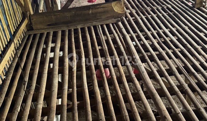 Dijual Peternakan Ayam Masih Operasional 2