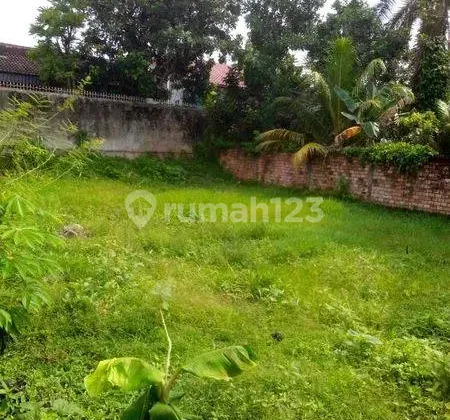 Dijual Murah Tanpa Perantara, Langsung dengan Pemilik, Tanah Lahan Kosong di Talang Semut
