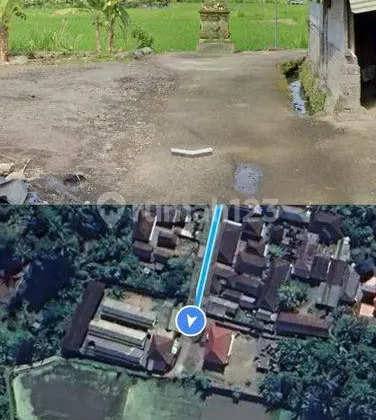 Dijual Murah Tanpa Perantara, Langsung dengan Pemilik, Tanah Sawah di Pejeng Kangin, Tampaksiring, Gianyar Bali