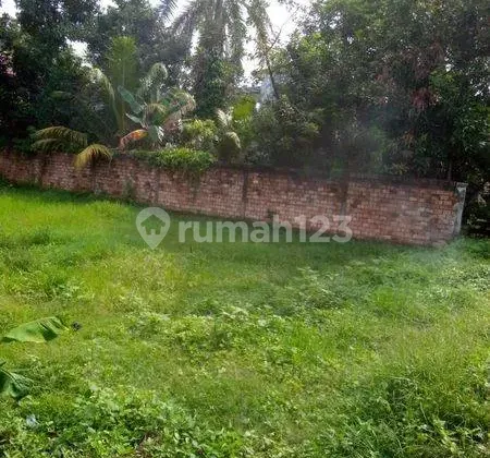 Dijual Murah Tanpa Perantara, Langsung dengan Pemilik, Tanah Lahan Kosong di Talang Semut