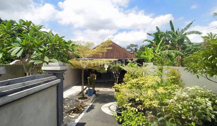 Rumah Murah Dan Nyaman Di Pusat Kota Tabanan Bali 1