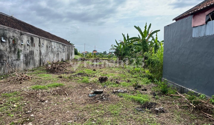 Dijual Tanah di Kawasan Bisnis di Kediri Tabanan Bali Tanah SHM di Kediri