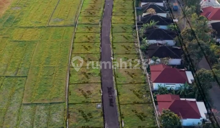 Land for Sale: Affordable Plots Just 10 Minutes to Kedungu Beach, Tabanan, Bali Land