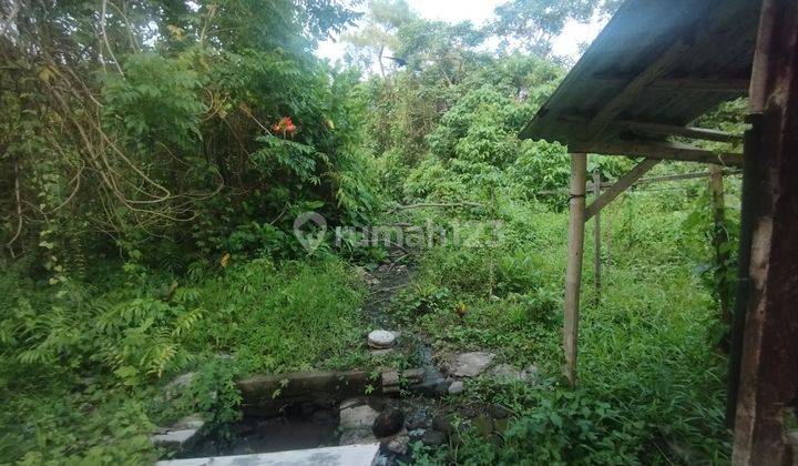 Dijual Tanah Murah BUC Di Pusat Kota Tabanan Bali 1