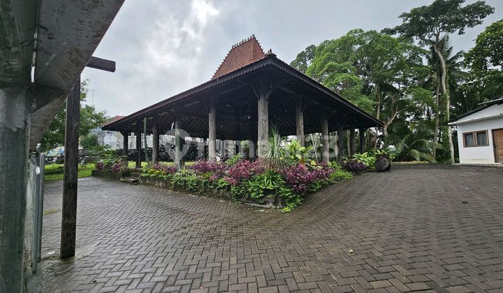 V96 Tanah 38 Are Jalan 16 Meter Tanah Lot Kedungu Cocok Bisnis V96 Tanah 38 Are Jalan 16 Meter Tanah Lot Kedungu Cocok Bisnis