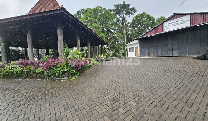 V96 Tanah 38 Are Jalan 16 Meter Tanah Lot Kedungu Cocok Bisnis V96 Tanah 38 Are Jalan 16 Meter Tanah Lot Kedungu Cocok Bisnis