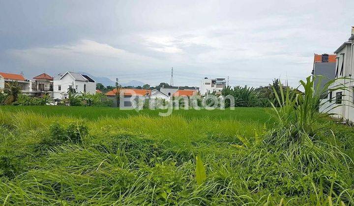 A LAND FOR RENT 35 YEARS IN KEDUNGU : 120 M2 NEAR KEDUNGU BEACH 2